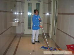 專業開荒保潔服務與物業管理 覆蓋永嘉、洞頭、平陽、蒼南、文成、泰順